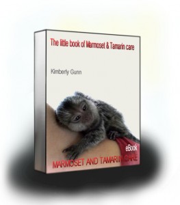 Book Cover7l_jpg_compressed_40