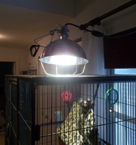 mercury vapor lamp